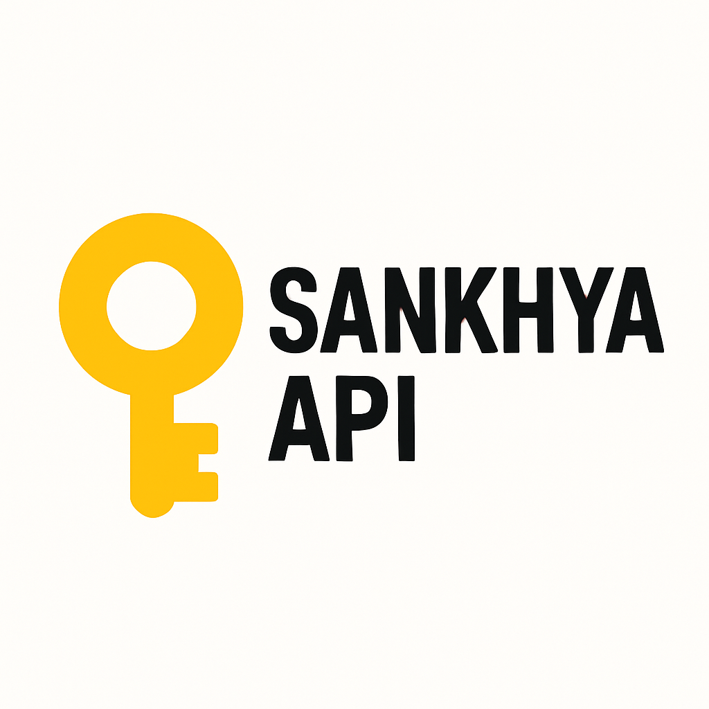 API Access Illustration